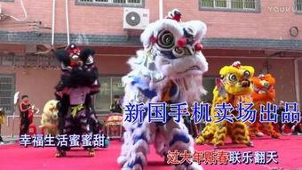 舞狮子表演视频爆料,揭秘传统表演背后的精彩瞬间  第2张